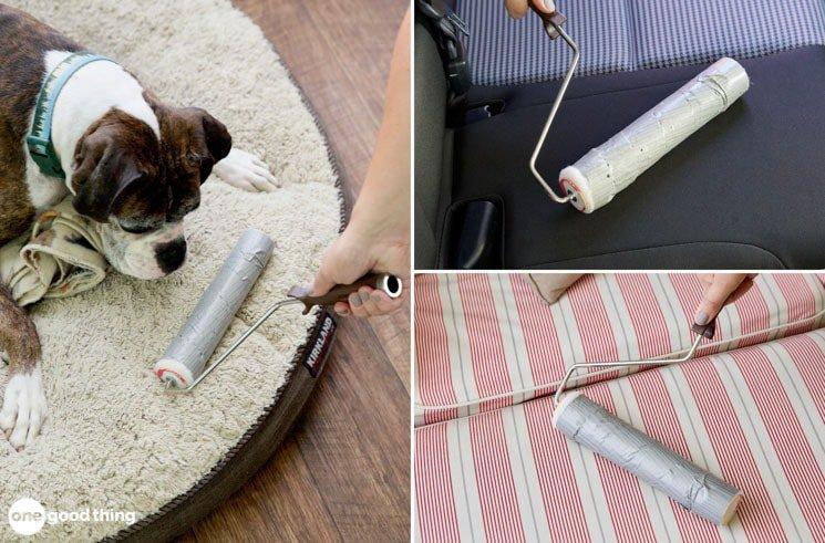 This Is The Best Hack Ever For Dealing With Pet Hair