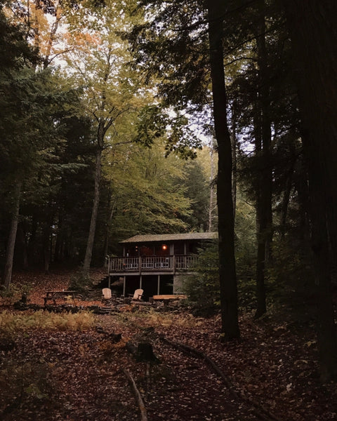 Unplugged: A Young Couple’s DIY, Totally Off-the-Grid Cabin in the New Hampshire Woods