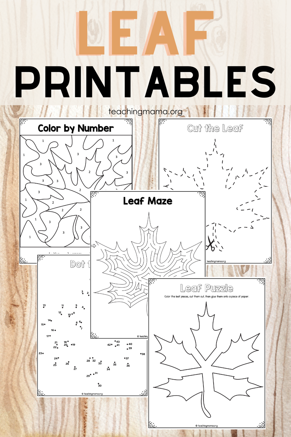 Printable Leaf Activities