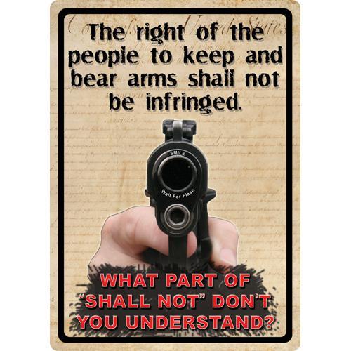Tin Sign The Right To Keep & Bear Arms, Size 12
